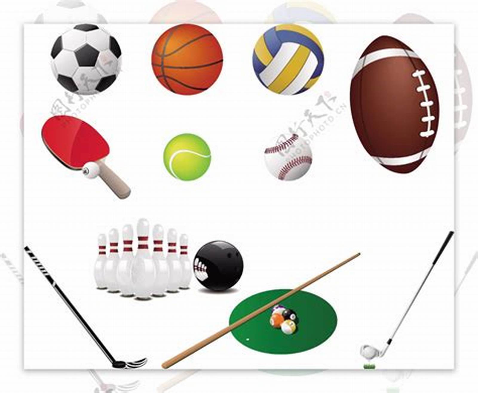 在体育界中 在体育界中