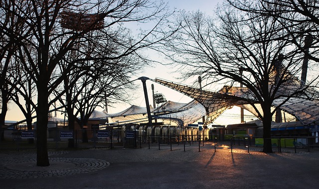 这些特点无 这些特点无